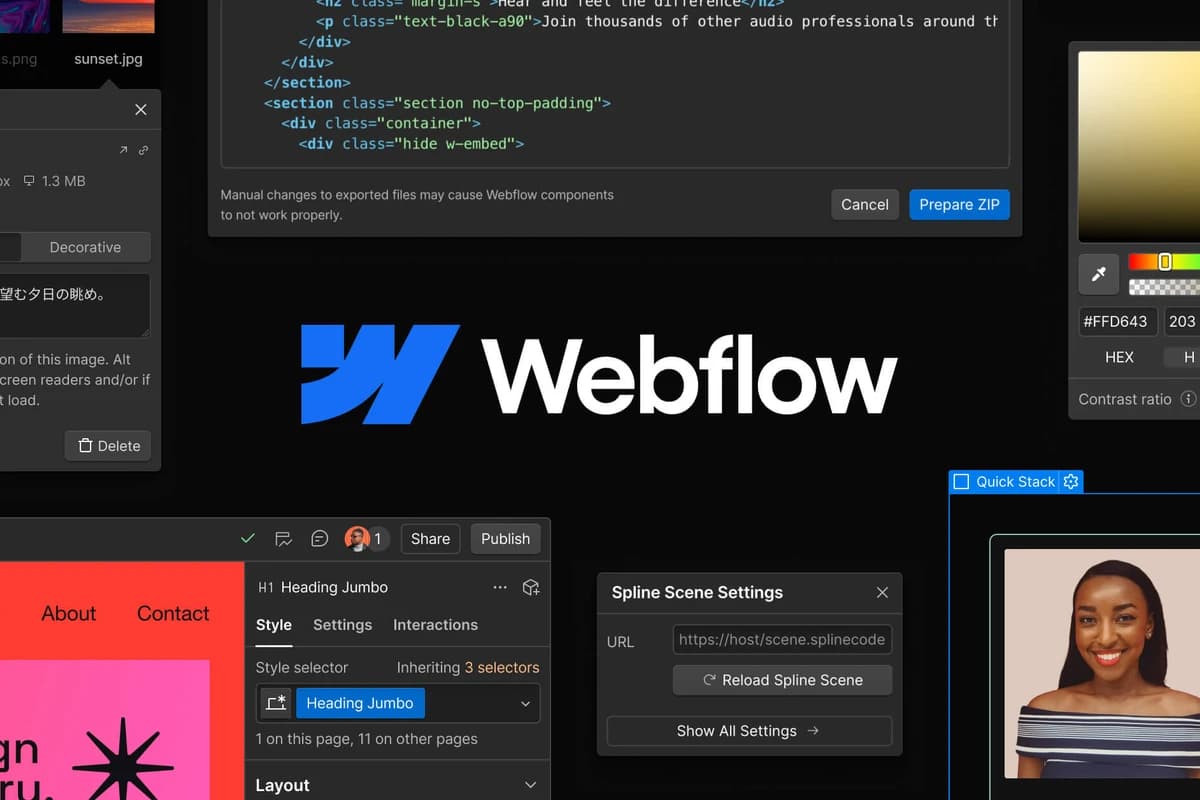 Webflow screenshot