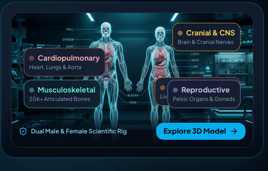 Anatomy Atlas 3D screenshot